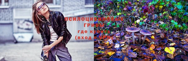 индика Алексеевка