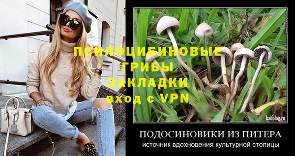 наркотики Медвежьегорск