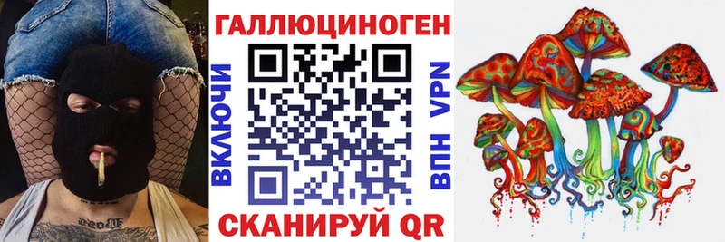 Псилоцибиновые грибы Psilocybe  blacksprut рабочий сайт  Красногорск 